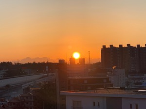 IMG_8885 (1)