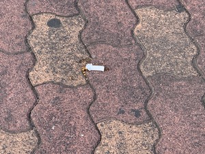 IMG_9530