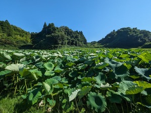 PXL_20230712_062230557