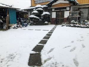 IMG_0576