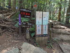 PXL_20230621_011555560