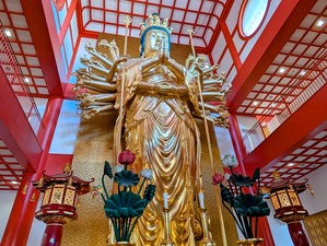 PXL_20260217_011834414-EDIT