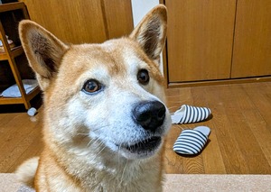 PXL_20231127_084016781-EDIT