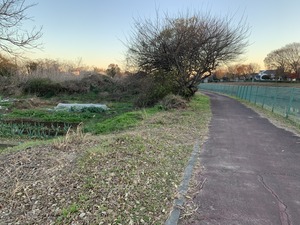 IMG_3691