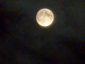 PXL_20240917_115041787