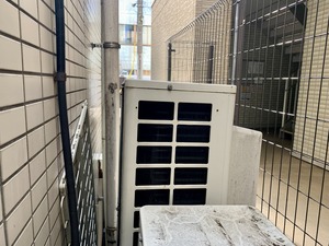 IMG_4350