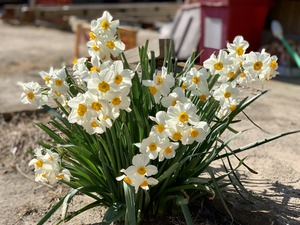 IMG_0156
