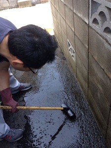 写真 1 (3)