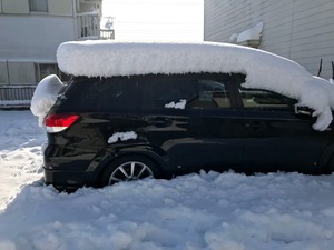 01231