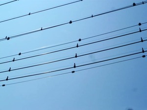 電線1