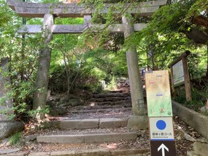 IMG_4151