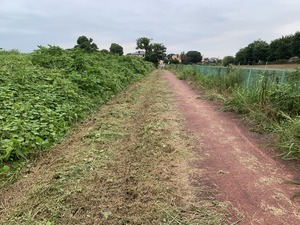 IMG_1209
