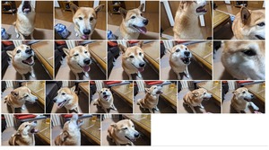 819