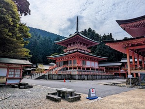 PXL_20241002_033828262-EDIT