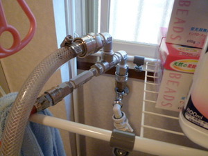 ��������ɣ�