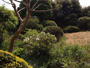 写真 (8)