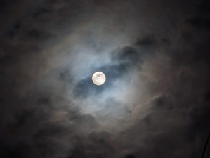 PXL_20231127_102213370.NIGHT