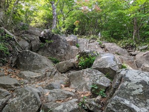 ���λ����Ф���