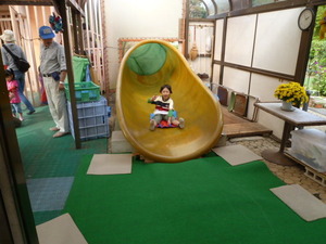 ����棵�ݣ�