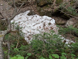 PXL_20240620_041411628