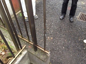 写真 2 (4)