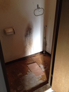 写真 3 (3)