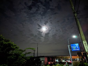 PXL_20240523_142023848