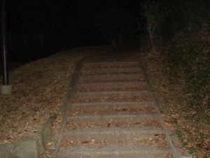 DSC07346