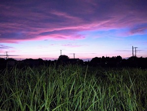 PXL_20230903_095153829