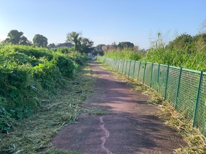 IMG_6384