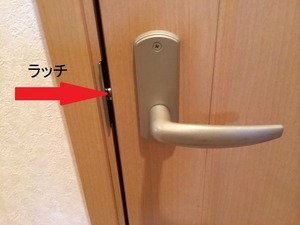 写真 5 (2)