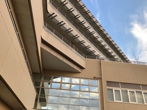 IMG_8219