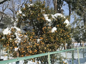 IMG_8824
