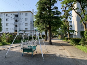 IMG-5518