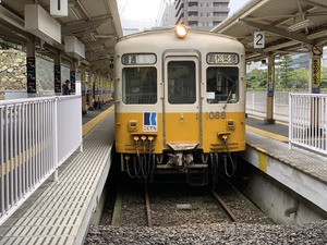 IMG_8589