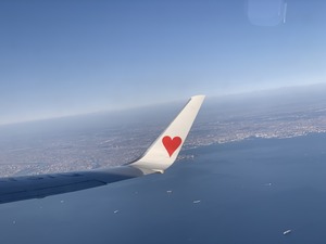 IMG_9554