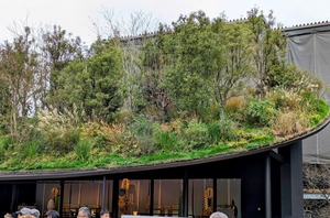 PXL_20231218_004044313.MP-EDIT