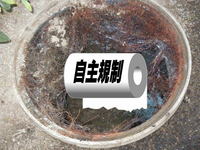 根っこ1