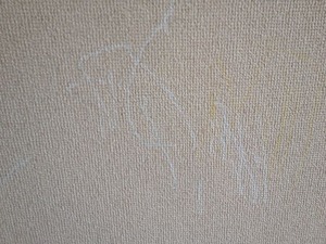 写真 2 (2)