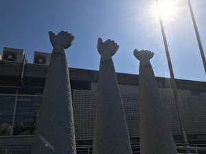 IMG_9256