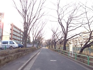 写真 1