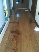 �ե������