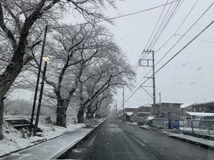IMG_4069