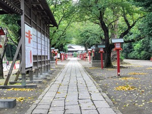 IMG_6055