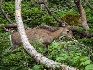 PXL_20240620_040818059