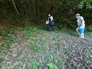 PXL_20230712_060329654