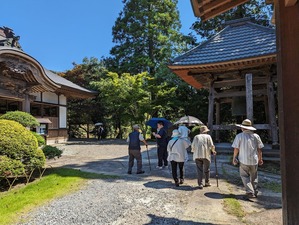 PXL_20230712_044901614