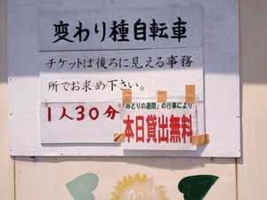 写真 4 (3)