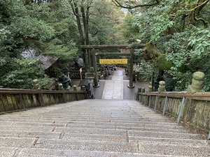 IMG_8639
