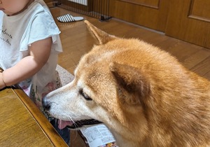 PXL_20240531_073946612